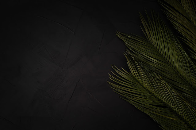 Beautiful Palms Black Wallpapers Free Download