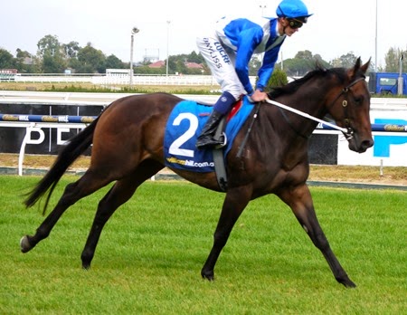race 5_samartested 2
