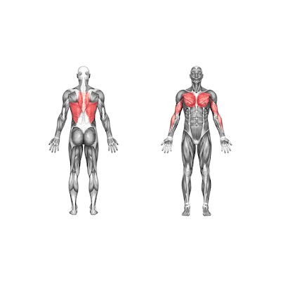 Lat_Pull-Downs_4_sets_and_12/10/8/6_reps