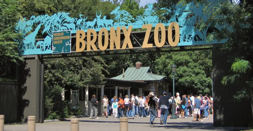 Bronx Zoo, New York City