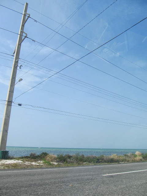 florida keys, florida beach,teresita blanco