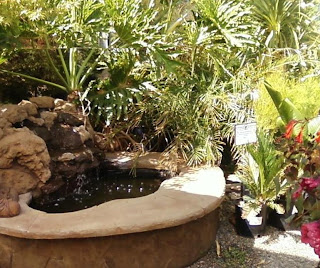 above ground pond at Fair Oaks Blvd. Nursery in Sacramento