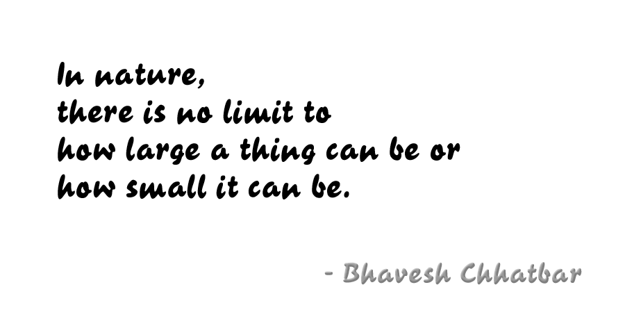 In nature, there is no limit to how large a thing can be or how small it can be. - Bhavesh Chhatbar