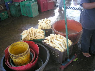 Peeling plantains, La Bomba, Jutiapa, Honduras