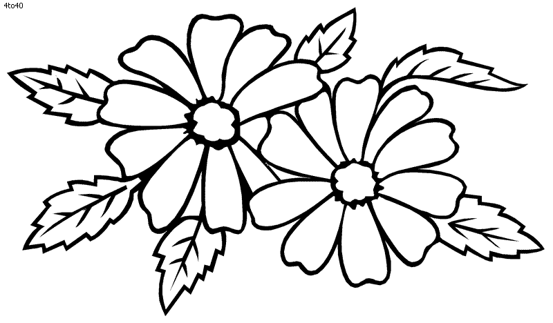 Dahlia Coloring Pages