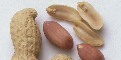 عزز المحتوى الغذائي للفستق السوداني