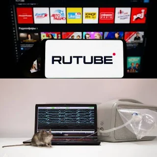 5 million people use the “Rutube” service Russian daily