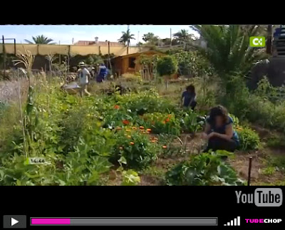 Proyecto Zorba en Televisión Canaria