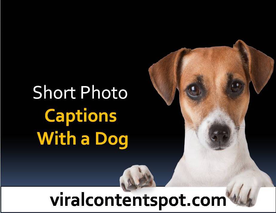 Short photo captions with a dog