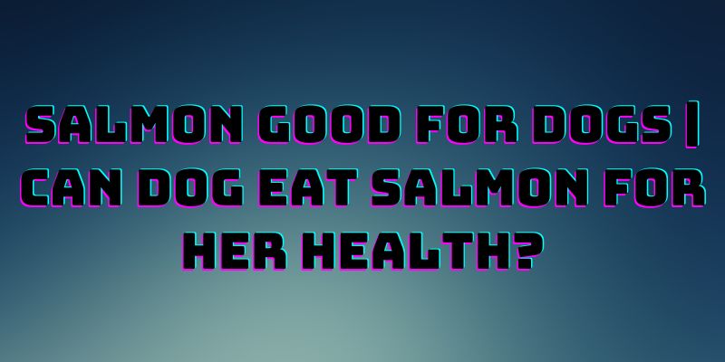 Salmon Good for Dogs | Can dog Eat salmon for her health?