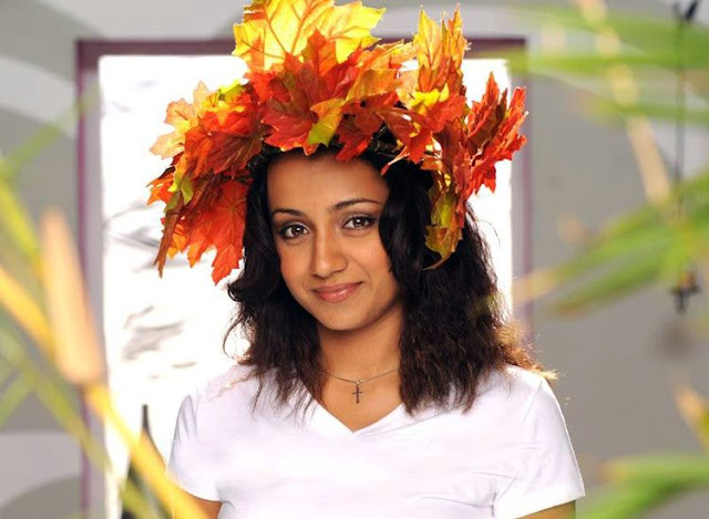 Trisha Sweet Cool Photos 