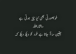 Funny Poetry in Urdu 2 Lines (2)