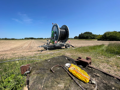 Vrijgelaten zwerfsteentje