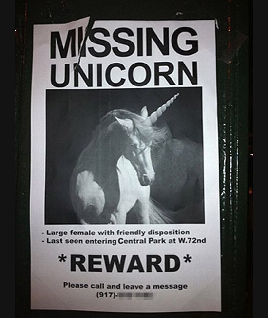 30 Funniest Lost and Found Pet Signs