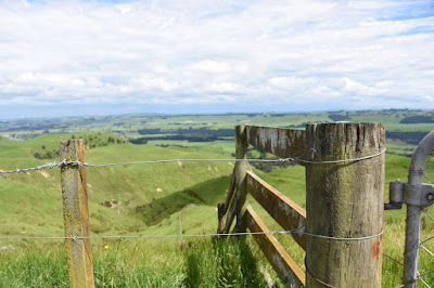 Fence line at Stormy Lookout