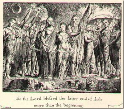 job7