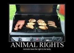 animal rights