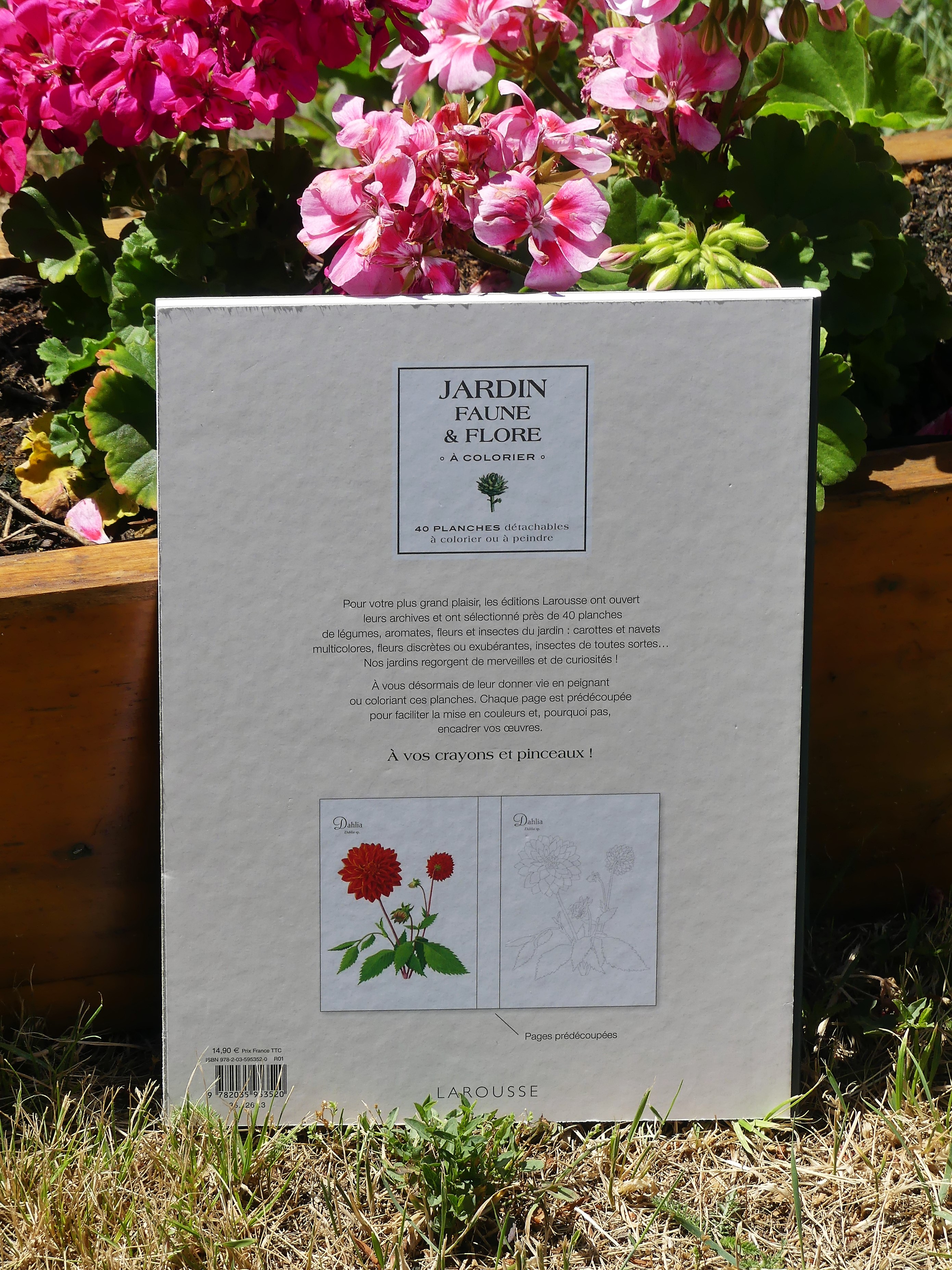 Livre Larousse : Jardin faune et flore à colorier