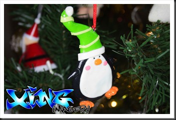IMG_7656 IMG_7656