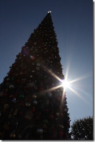 December 2010 372