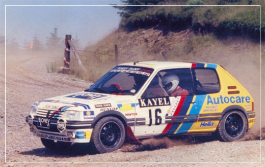 Peugeot 205 GTI 19