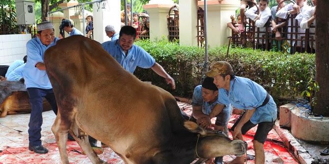 Tradisi Unik Menjelang Idul Adha