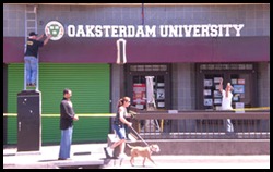 Universidade Canábica de Oakland, fundada em 2007.