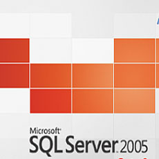 SQL-Server-2005.jpg (230×230)