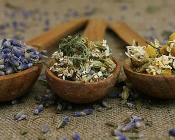 DAMPAK RACIKAN EFEK SAMPING OBAT HERBAL 