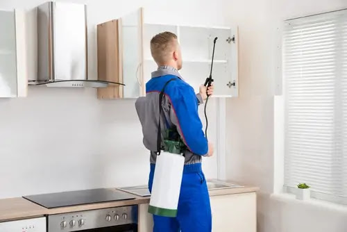 Providing effective Pest Control Services in Seven Hills