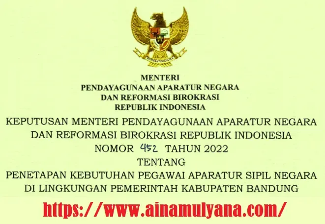 Rincian Penetapan Kebutuhan atau Formasi ASN PPPK Kabupaten Bandung Tahun 2022
