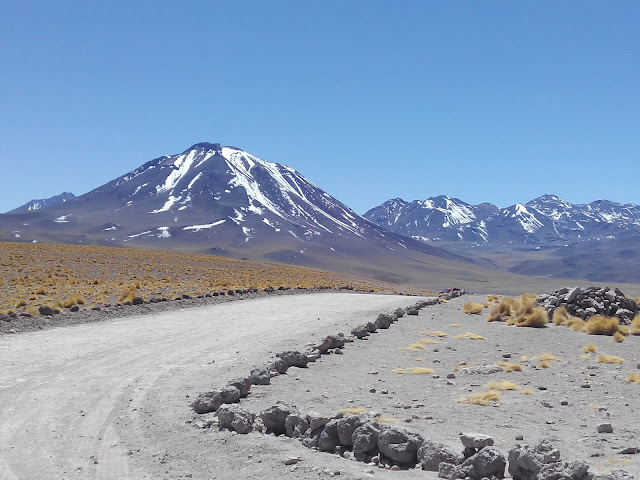 Camino a las Lagunas altiplánicas