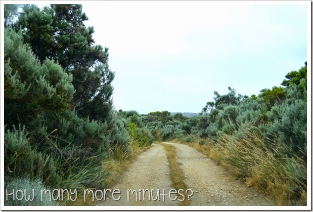How Many More Minutes? ~ Cape Bridgewater, Victoria