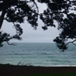 View album