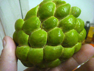 sugar apple fruit in taiwan