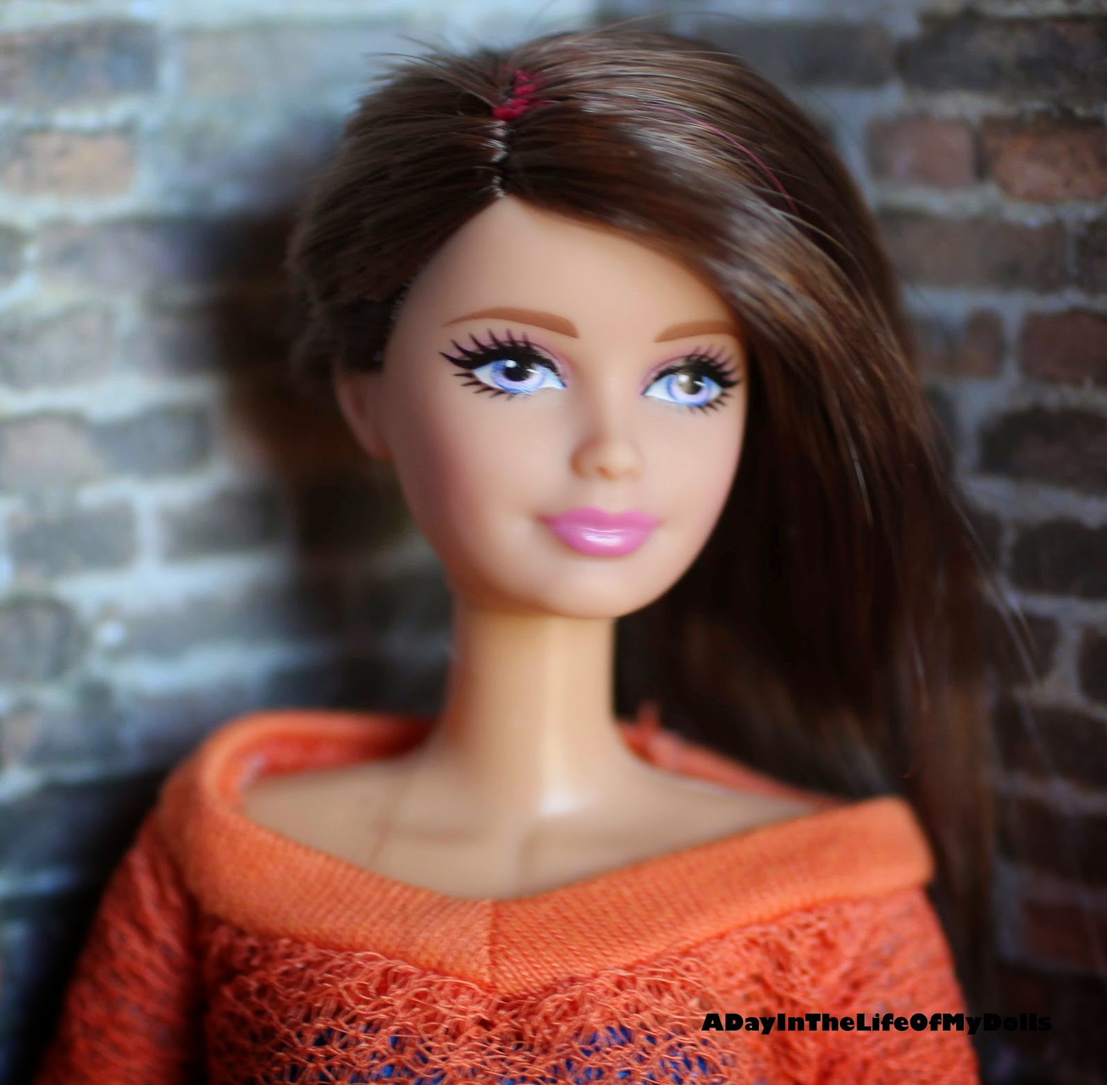 A Day In The Life My Dolls Hair Play