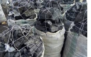 How to Start Charcoal Business in Nigeria