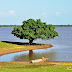 ARARAUÁ, NO AMAZONAS