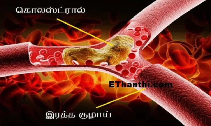 பாதாம் பருப்பு சாப்பிடுவதால் கொலஸ்ட்ரால் குறையும்