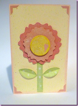 CARD 8 MARZO