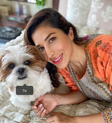sophie choudry instagram, sophie choudry songs, sophie choudry albums, sophie choudry actress, sophie choudry and manish malhotra, sophie choudry indian cinema gallery, sophie choudry fitness sophie choudry fitness show, sophie choudry gym, sophie choudry home, sophie choudry images, sophie choudry in saree, sophie choudry instagram photos, sophie choudry pinterest, sophie choudry saree, sophie choudry workout, sophie choudry hd wallpaper