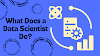  What Does a Data Scientist Do?