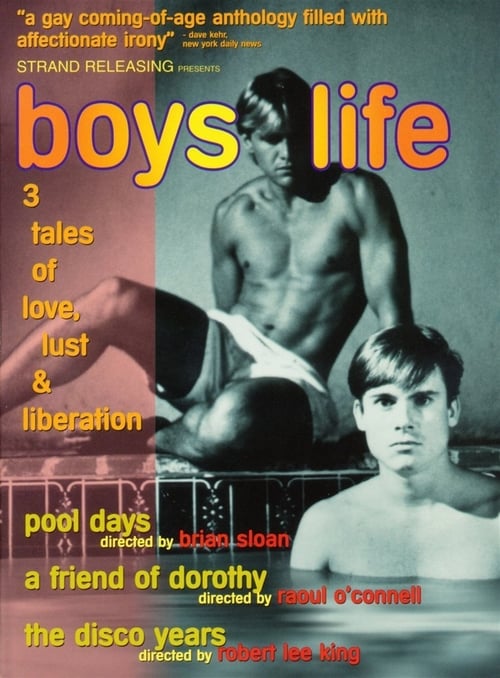 Watch Boys Life: Three Stories of Love, Lust, and Liberation 1994 Full Movie With English Subtitles