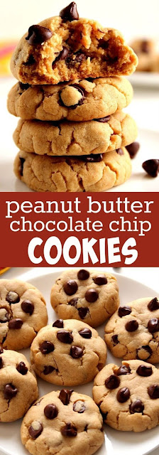 Peanut Butter Chocolate Chip Cookies Recipes 