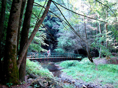 Last Summer while vacationing in Ohio we visited the Hocking Hills area