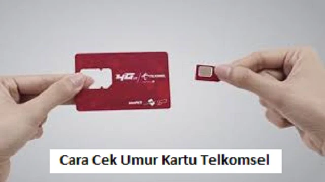 Cara Cek Umur Kartu Telkomsel