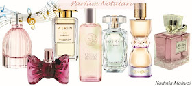 Parfüm Notaları