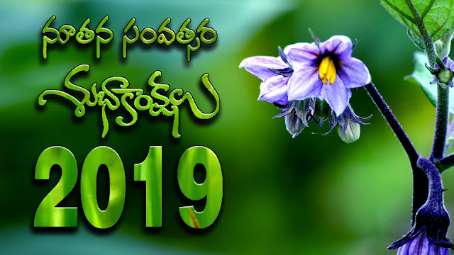 new year 2019 download HD wallpapers and happy new year 2019 download 3D wallpapers and happy new year 2019 download 4K wallpapers and happy new year 2019 download PSD wallpapers happy new year 2019 free download PNG wallpaper and happy new year 2019 download wallpapers and happy new year 2019 wallpapers download and happy new year 2019 HD wallpapers download New Year images 3D 2019 free downloads | New Year 2021, 2019, 2020 | Aim Photography happy new year 2019 greetings will get on net happy new year 2019 hd images for best results happy new year 2019 images download for any where happy new year 2019 jokes also available happy new year 2019 3D&4K images should be here happy new year 2019 HD images 4K images and happy new year 2019 HD images 3D and happy new year 2019 HD images 5D 