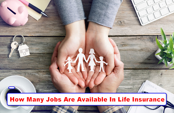 How Many Jobs Are Available In Life Insurance Update 2022