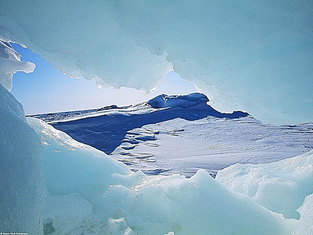 Peering Through the Arctic Ice, Northwest Territories